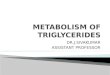 Triglyceride metabolism