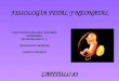 Fisiología fetal y neonatal