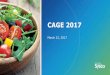 2017 cage presentation v final (print)