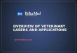 BritaMed - Veterinary lasers and applications