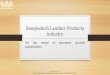 Bangladesh leather products - An Introduction