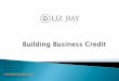 Corporate Credit Software System