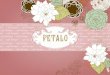 Petalo Cafe Boutique Final