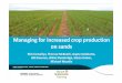 Managing for increased crop production on sands (Manangatang) - Rick Llewellyn (CSIRO)