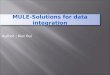 Mule solutions for data integration