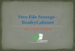 Free file storage system   realty cabinet