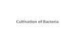 Cultivation of bacteria and culture methods