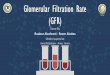 Glomerular filtration rate