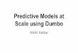 Predictive Models at Scale