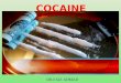 Cocaine poisoning