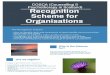 COSCA Recognition Scheme leaflet