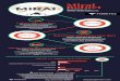 Firmitas Cyber Solutions - Inforgraphic - Mirai Botnet - A few basic facts on a world-wide epidemic