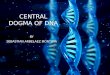 Central dogma of dna