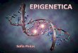 Epigenetica: mas alla de los genes