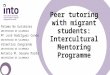 Assessment of the Intercultural Mentoring Programme