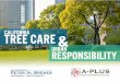 California Tree Care & Urban Responsibility
