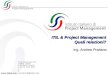 ITIL e project management