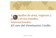 01  AREA-Región CARIBE en Relaciones Internacionales (2014)