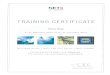 NETx Training Certificate