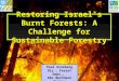 Restoring Israel's Burnt Forests 2007