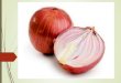 ONION Routing - Jovial learning