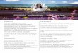 Violetta Wong's CV (digital marketing and London property 2016)