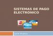 Sistemas de Pago Electronico - Vivanco
