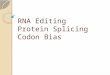 Rna editing, protein splicing & codon bias