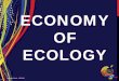 Conference tour economy of ecology