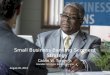 Small Business Banking Segment Strategy