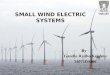 Small wind electric systems