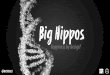 Bigger Hippos & Happier Humans : Pete Trainor