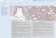 Immunohistochemistry Antibody Validation Report for Anti-Luciferase Antibody (STJ97752)