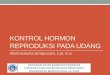 Endokrinologi Ikan sub Bahasan kontrol hormon reproduksi pada udang