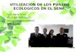 UTILIZACION DE LOS PUNTOS ECOLOGICOS EN EL SENA