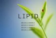 MELLSS yr1 biochemistry lipid