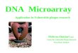 Dna microarray application in vp research  mehran