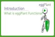 What is eggPlant Functional?