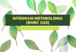 3.5. integrasi metabolisme