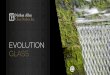 Evolution Glass | Product Info