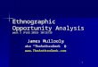 Ethnographic opportunity analysis fl15 part 1(mullooly)