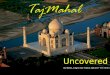 Taj Mahal~Uncovered