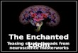 The Enchanted Loom reviews Leonard Shlain's book, Leonardo's Brain