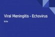 Meningitis: Viral Meningitis - Echovirus