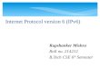 IPv6 next generation protocol