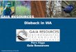 A retrospective on dieback projects