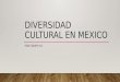 Diversidad en cultural en Mexico