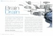 Brain Drain, Baylor Innovations