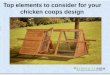 Top elements to consider for your chicken coops design