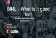 BIML- What is it good for?